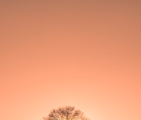 卵巢功能差试管成功案例